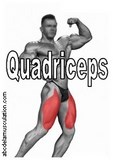 exercices quadri